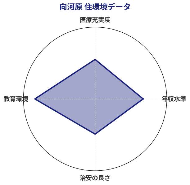 向河原 住環境スコア分析チャート