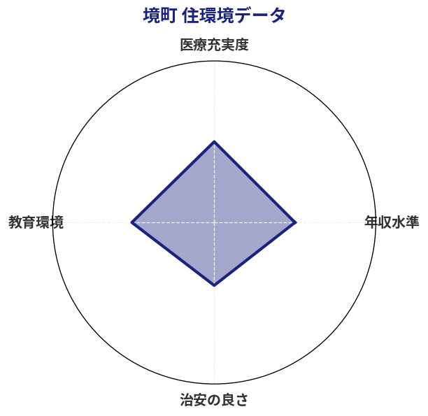 境町 住環境スコア分析チャート