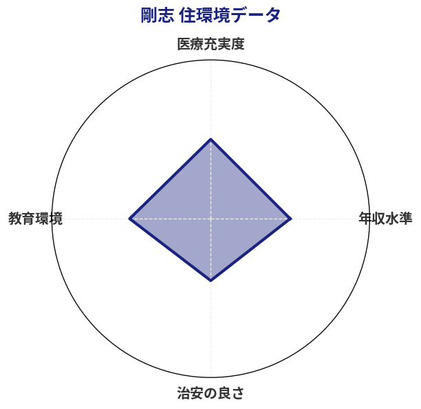 剛志 住環境スコア分析チャート