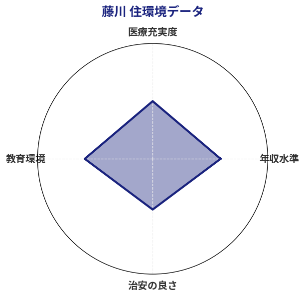 藤川 住環境スコア分析チャート
