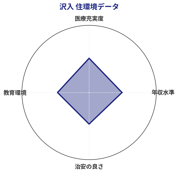 沢入 住環境スコア分析チャート