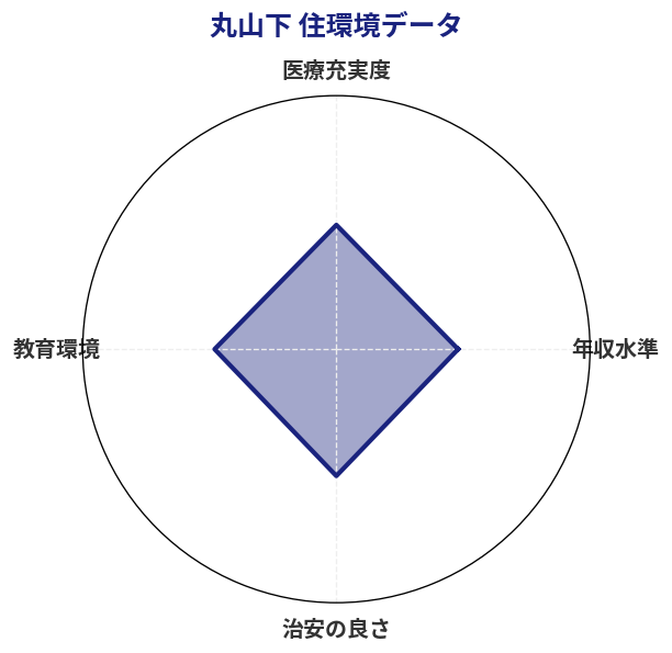 丸山下 住環境スコア分析チャート