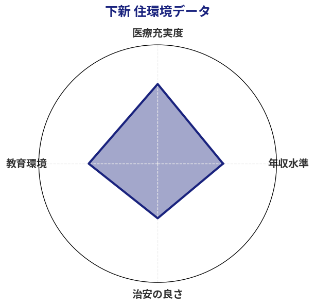 下新 住環境スコア分析チャート