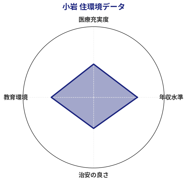小岩 住環境スコア分析チャート