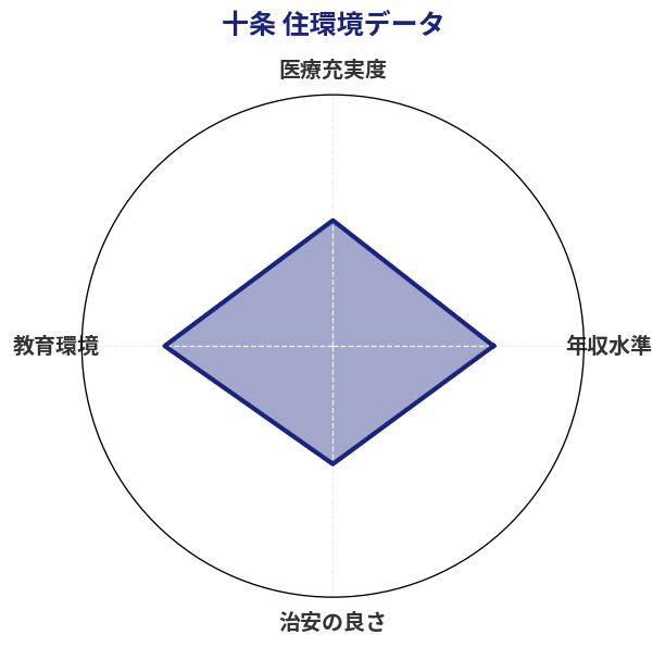 十条 住環境スコア分析チャート