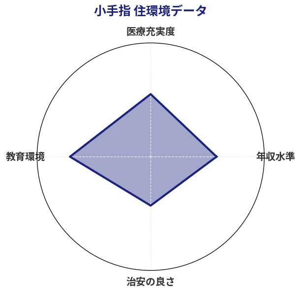 小手指 住環境スコア分析チャート