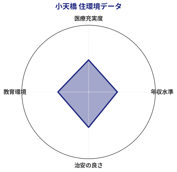 小天橋 住環境スコア分析チャート