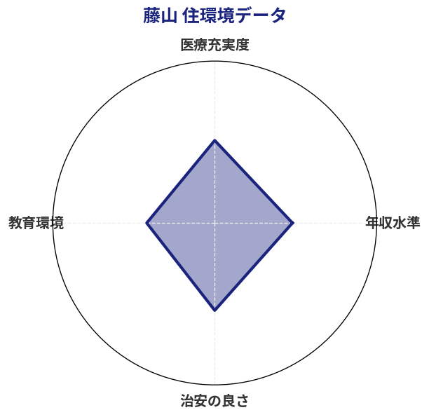藤山 住環境スコア分析チャート