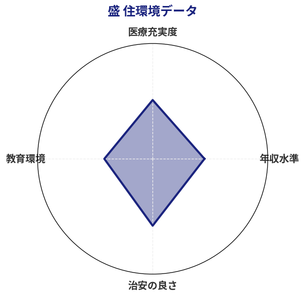 盛 住環境スコア分析チャート