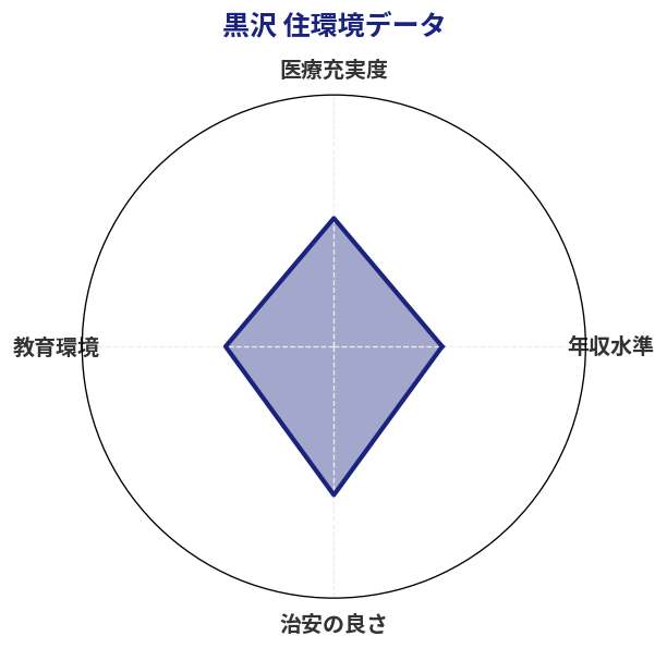 黒沢 住環境スコア分析チャート